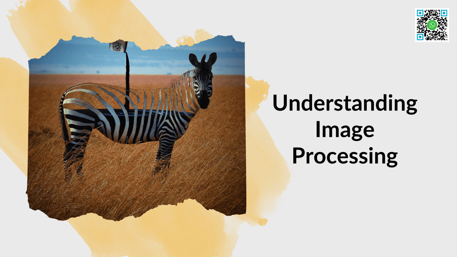 Understanding Image Processing
